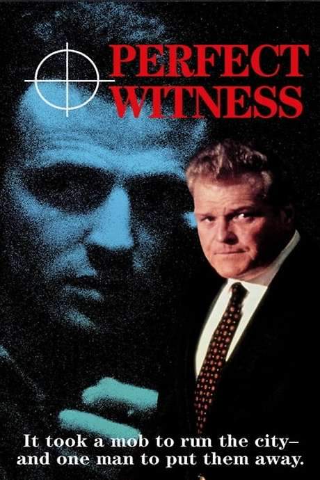 Perfect Witness